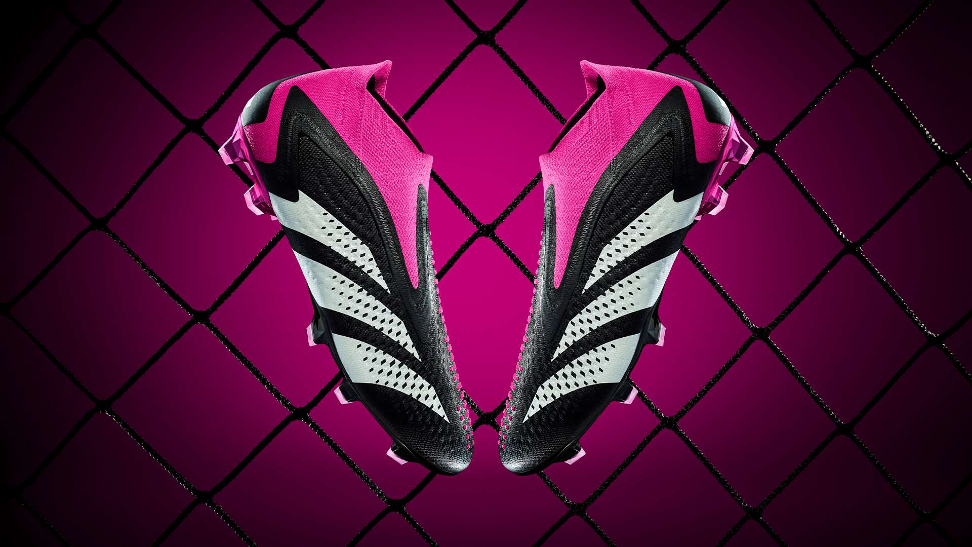 新模式的特 新模式的特